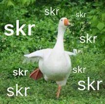 网上流行的吃瓜是什么意思,围观娱乐圈背后的真相